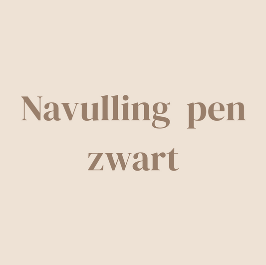 Navulling pen zwart - 2 stuks